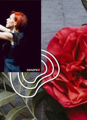 75572951_286803125552070_4034360716176064578_n