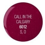 ΒΕΡΝΙΚΙ CUCCIO COLOUR 6012 CALL IN THE CALGARY 13ml - Image 2