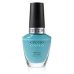 ΒΕΡΝΙΚΙ CUCCIO COLOUR 6042 MAKE A WISH IN ROME 13ml