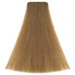 VITALITY'S COLORING ART 9/21 ASH AMBER 100ML - Image 2