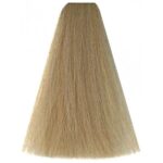 VITALITY'S HAIR COLORING ART 101 SUPER ASH - Image 2