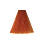 VITALITY'S NEW ESPRESSO RAME 200ml - Image 2