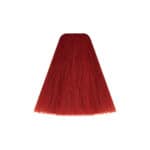 VITALITY'S NEW ESPRESSO ROSSO 200ml - Image 2