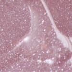 ΗΜΙΜOΝΙΜΟ ΒΕΡΝIΚΙ SEMILAC 395 DAWN TILL DUSK 7ml - Image 3