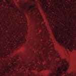 ΗΜΙΜOΝΙΜΟ ΒΕΡΝIΚΙ SEMILAC 397 TEA BEFORE WINE 7ml - Image 3