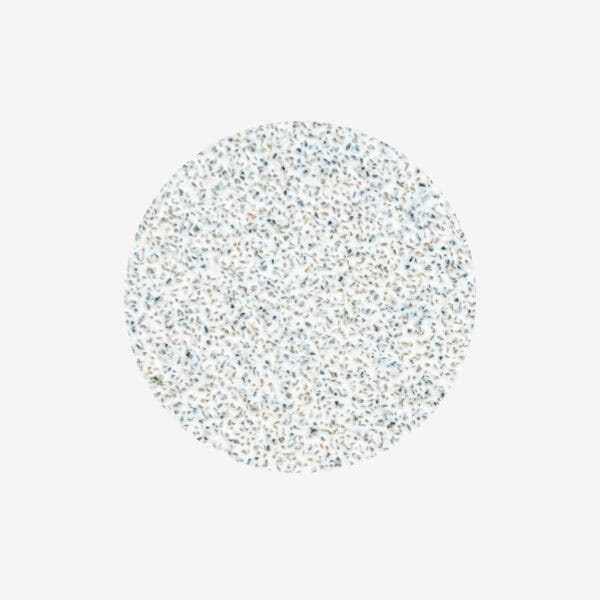 Staleks Pro ανταλλακτικά αυτοκόλλητα pads μιας χρήσης Pododisc 25mm 80 grit 50 τεμάχια